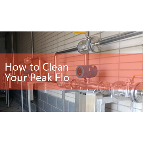 How to Clean Your Peak Flow Meter: Maintaining Sanitary Safety for Medical Regulators